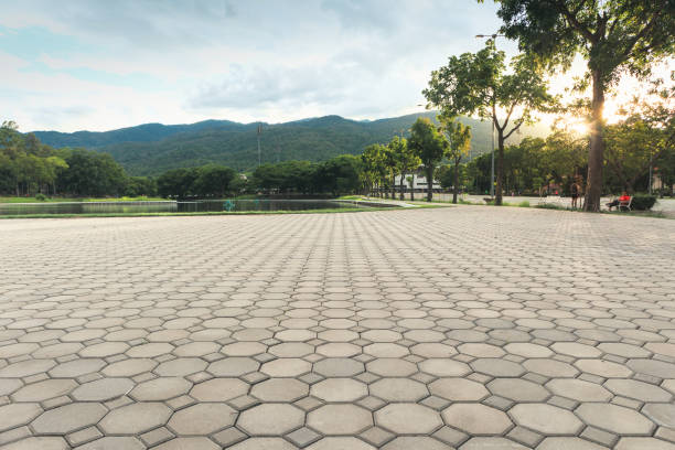 Trusted Adams, WI Driveway Pavers Experts